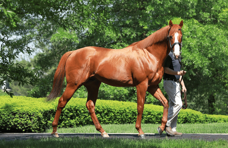 無敗の米国三冠馬ジャスティファイ産駒ヴァンキシュト20!ラヴズオンリーユー香港C後にバヌーシー追加募集開始