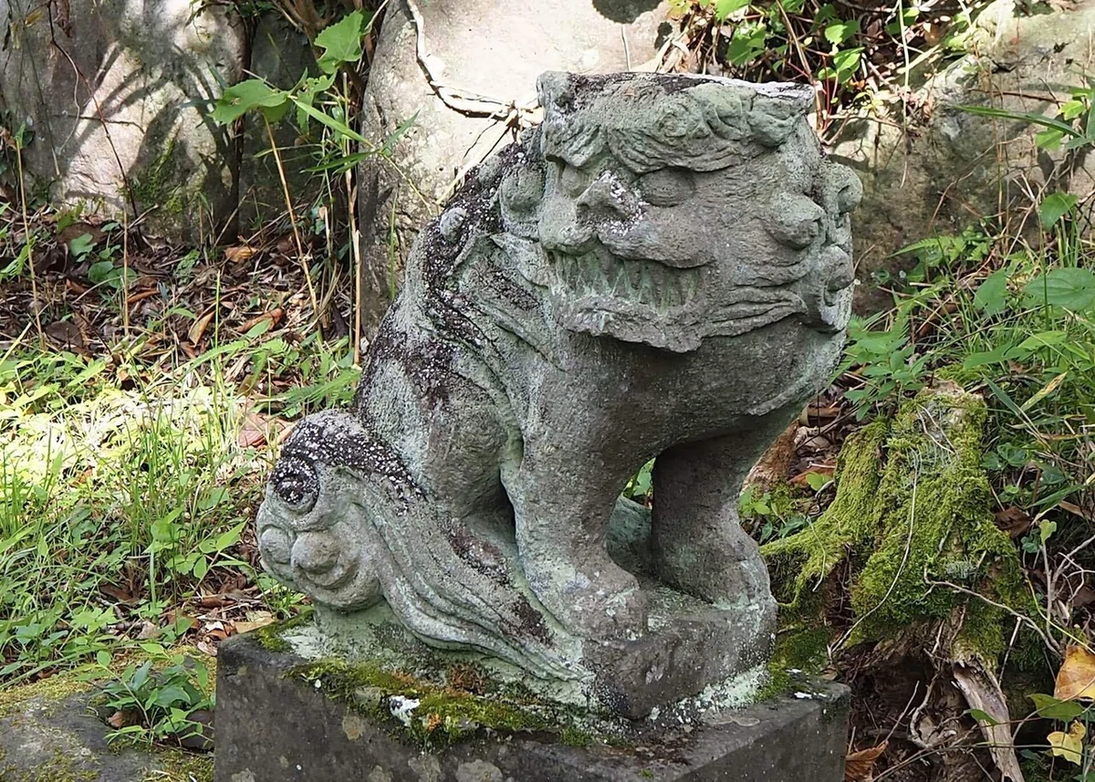 画像18