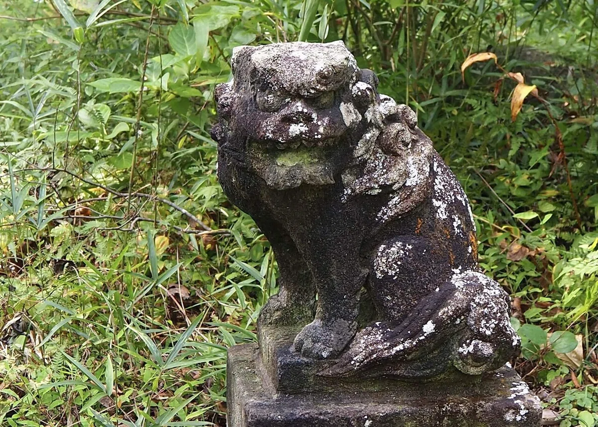 画像19