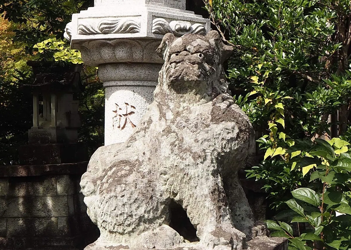 画像10