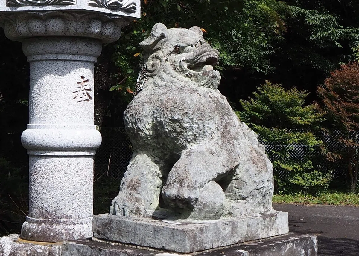 画像4