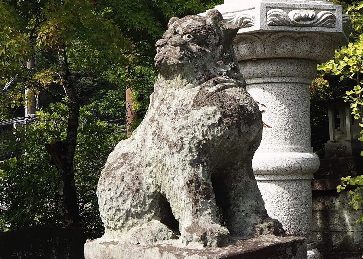 画像13