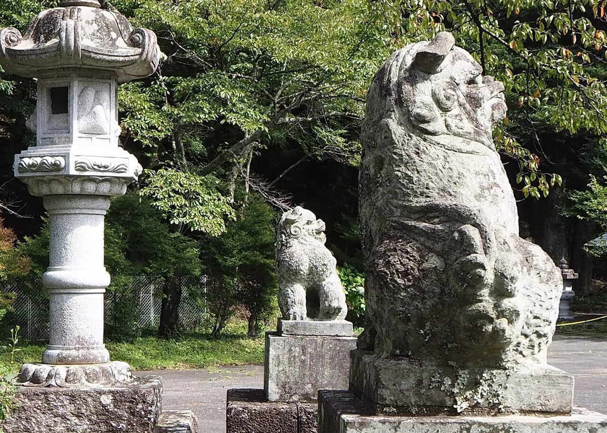 画像8