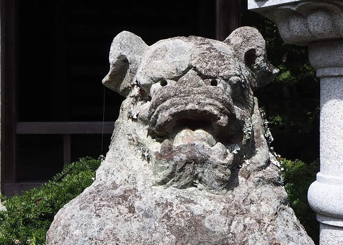 画像5