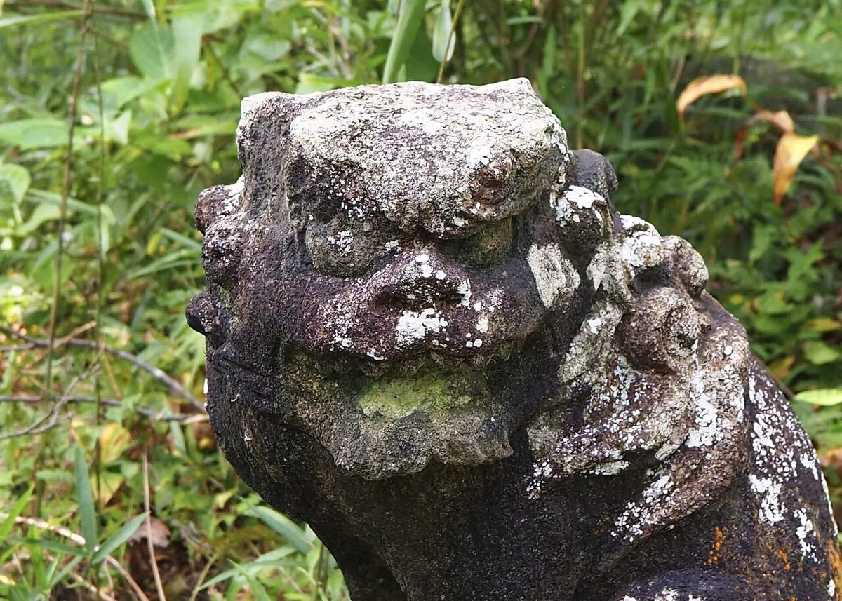画像22