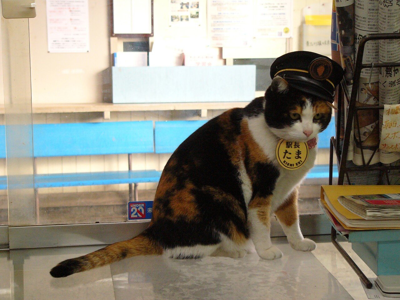 たま駅長 ねこ駅長について | 和歌山電鐵