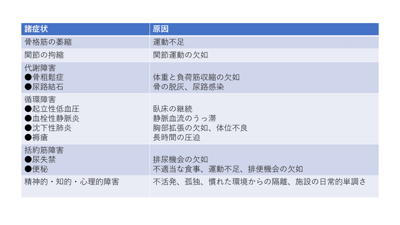 スクリーンショット (1197)