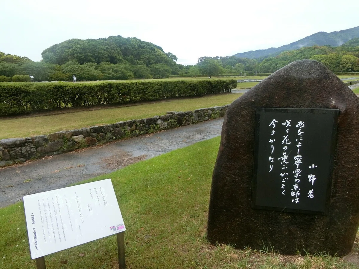 画像7