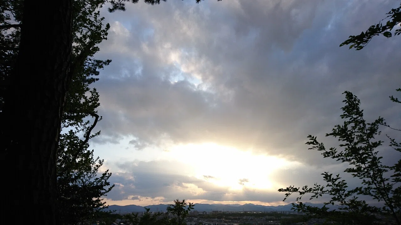 画像1