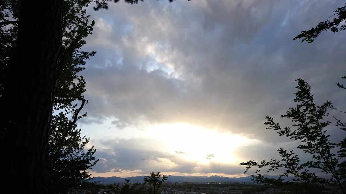 画像1