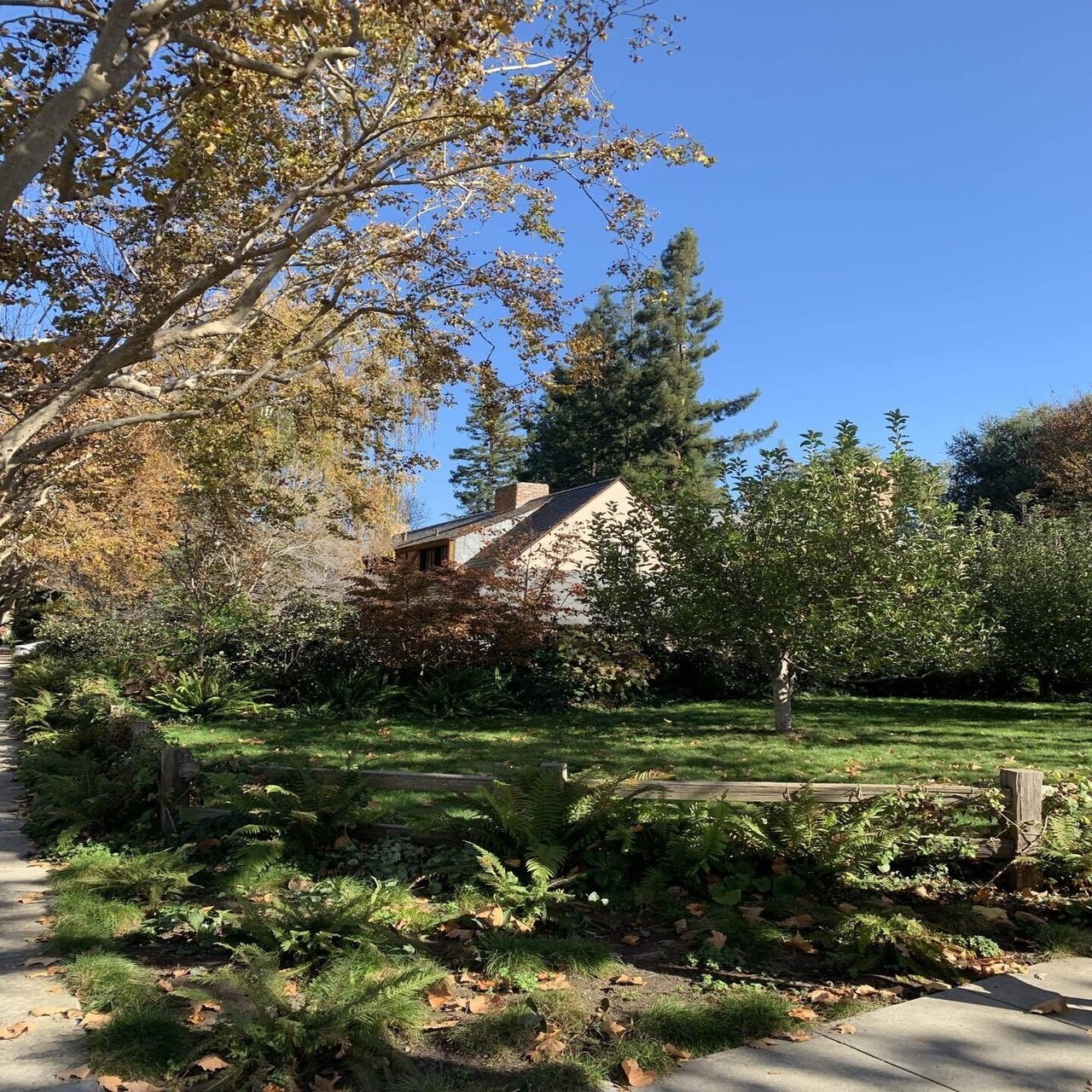 218 シリコンバレーを歩く。スティーブ・ジョブズが住んでいた家を訪問｜くみ🍀シリコンバレー→東京→ダラス, image size:1280x1707