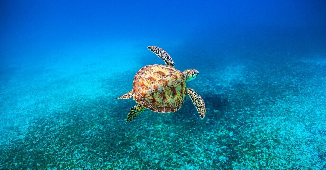 【令和トラベル】 NEWT iOSの新規開発における技術選定 2021年版|Ippo Matsui | 令和トラベル|note