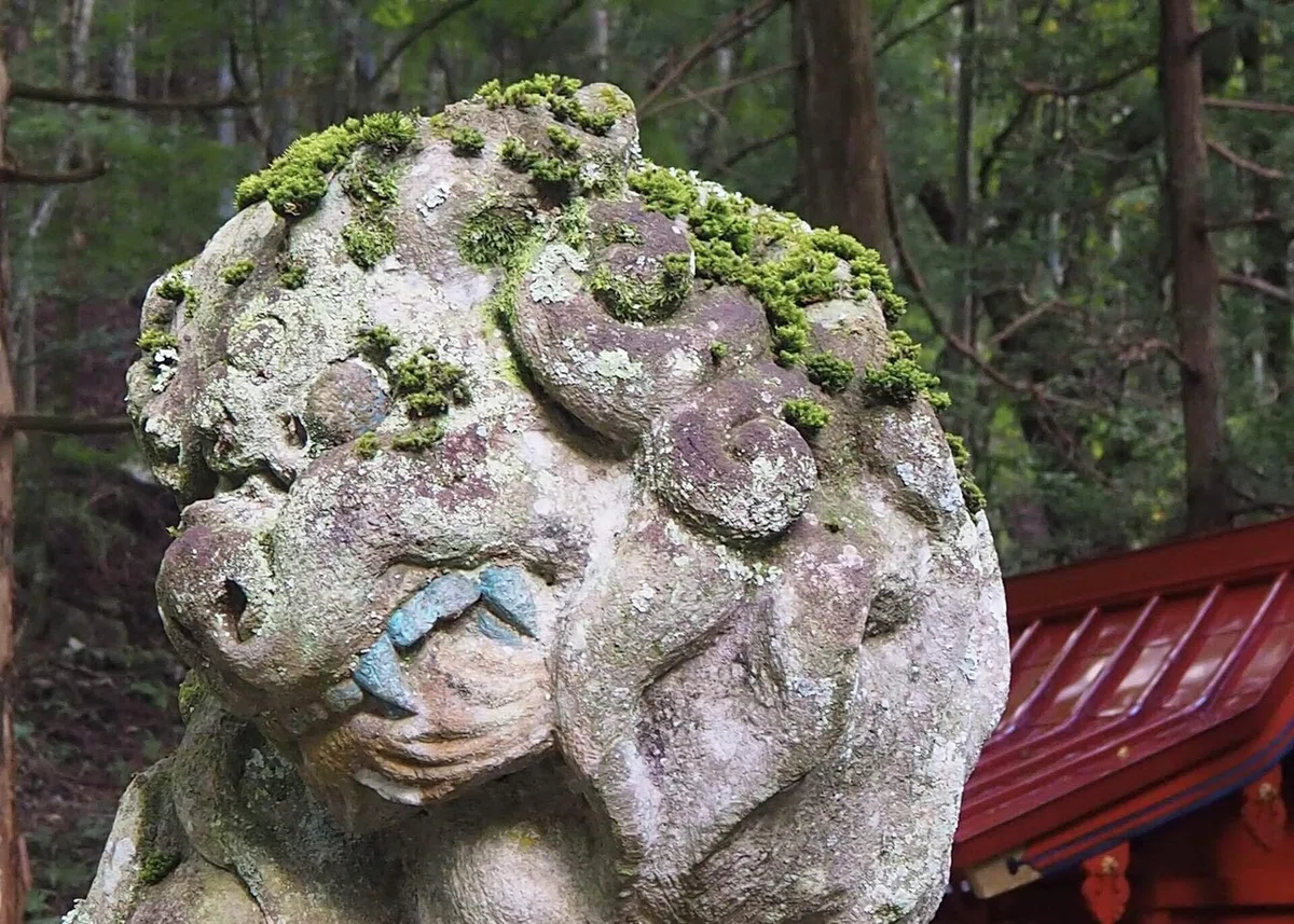 画像29