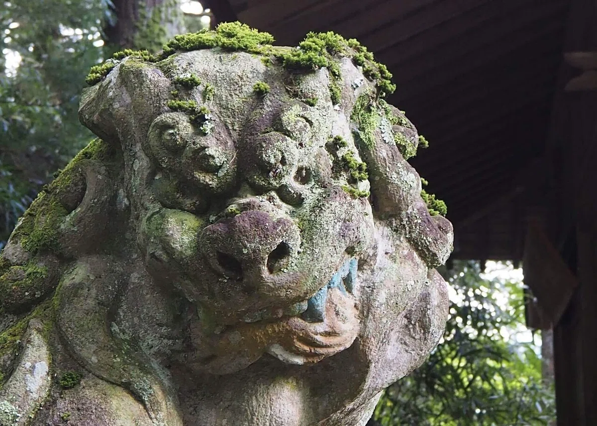 画像26