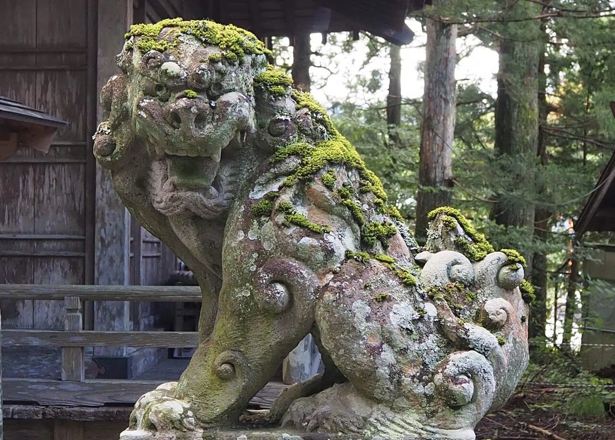 画像16