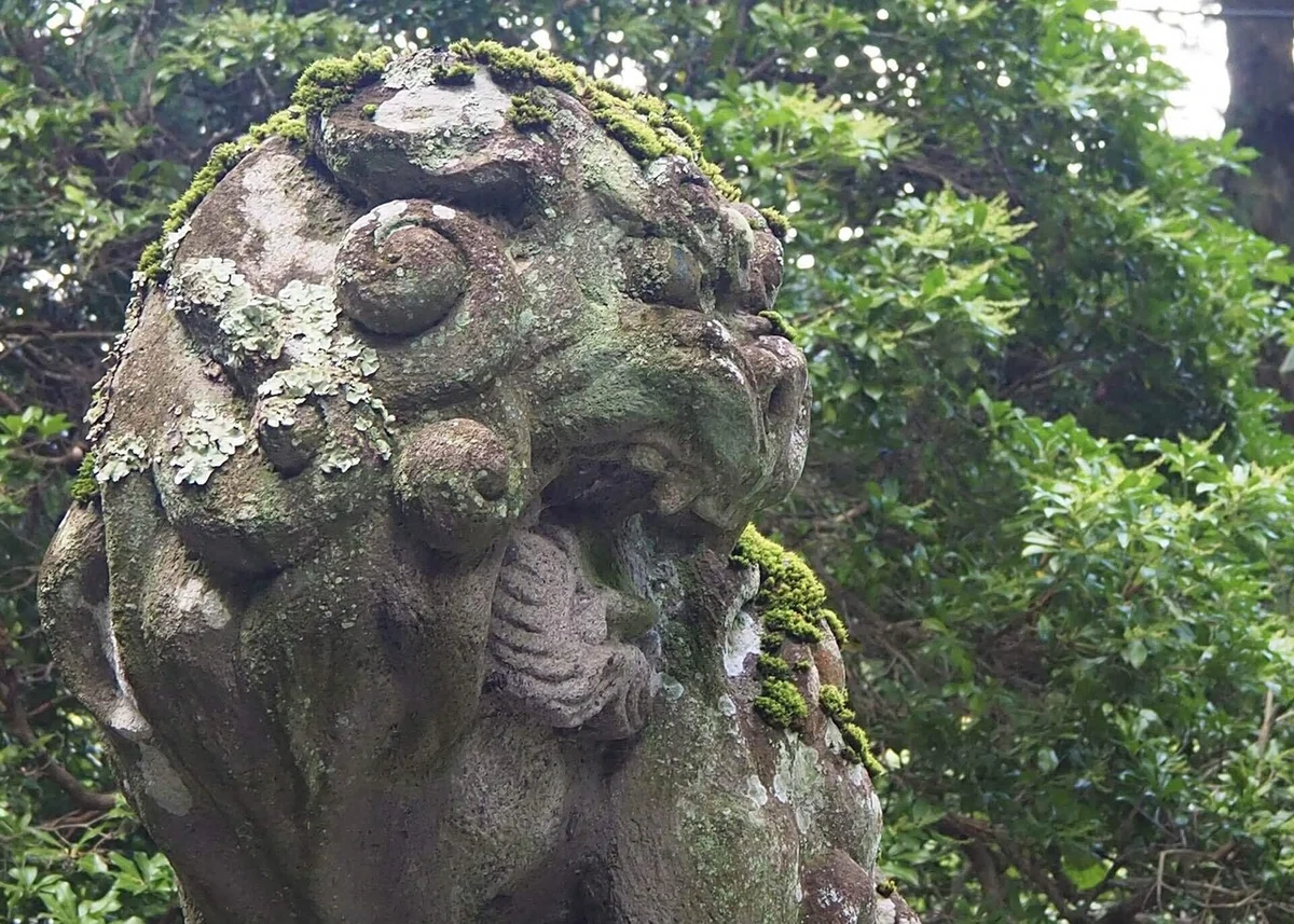 画像22