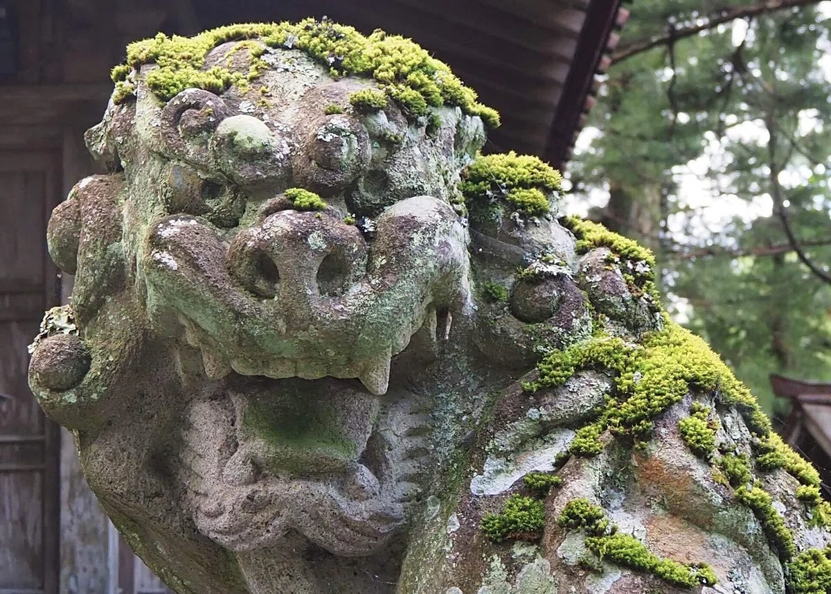 画像19