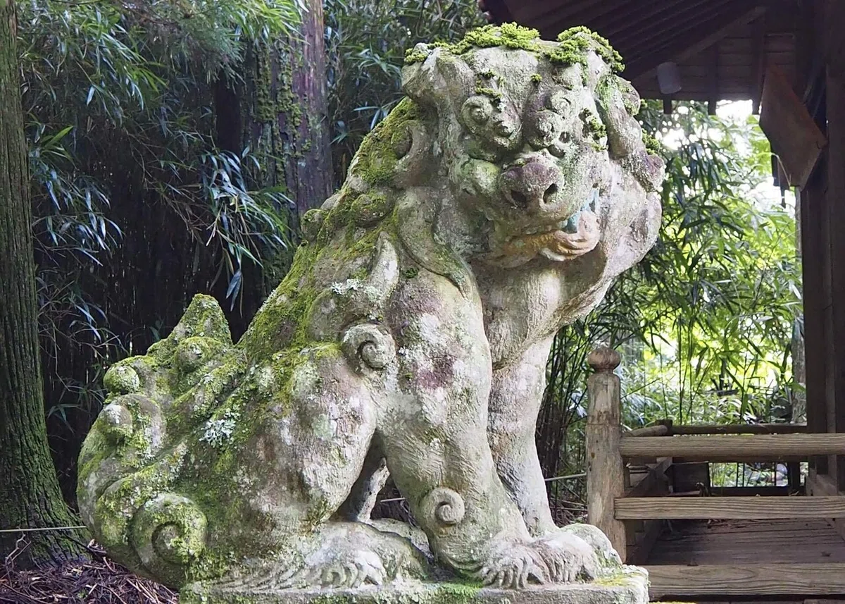 画像23