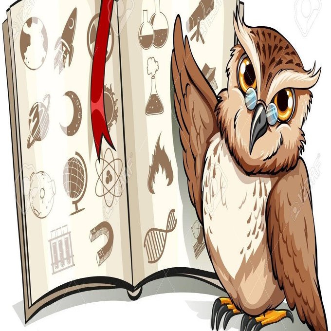 第1859回 複雑なフクロウ｜翆野 大地