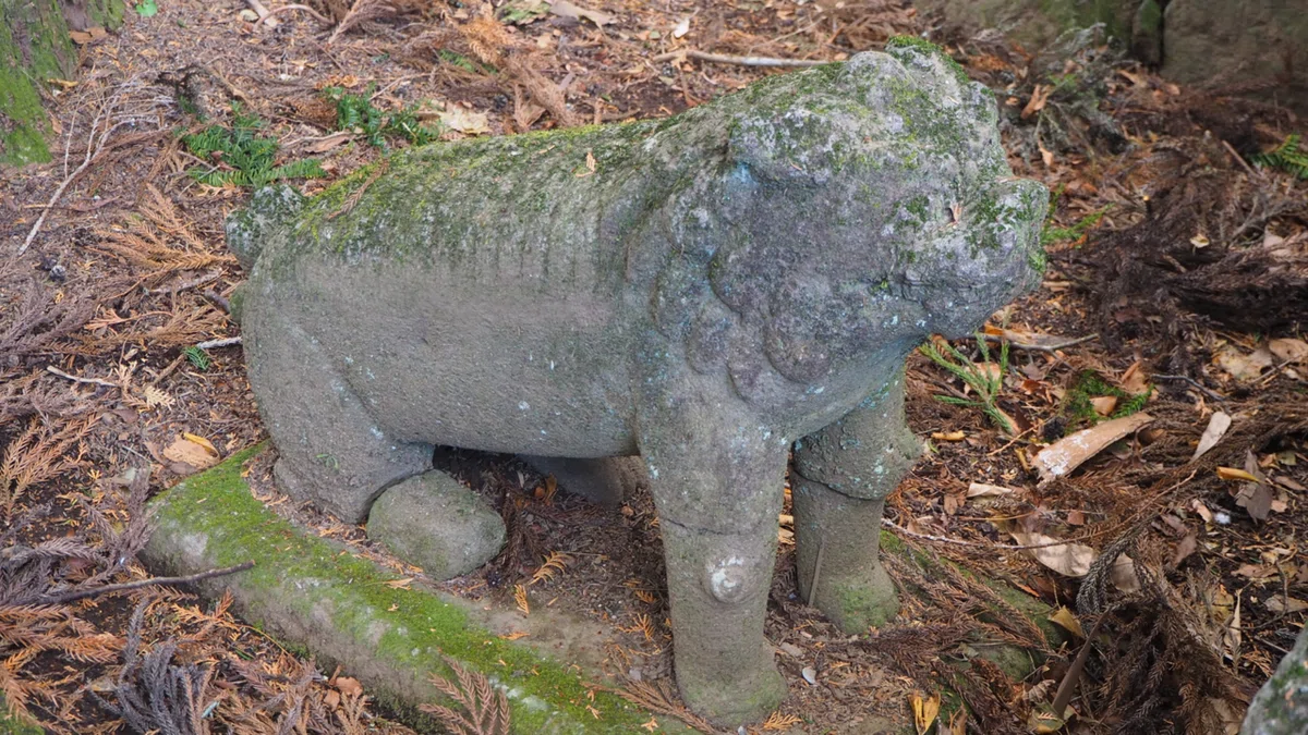 画像48