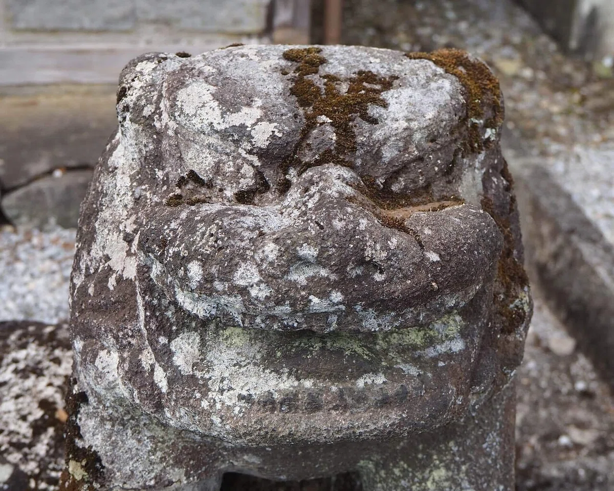 画像72