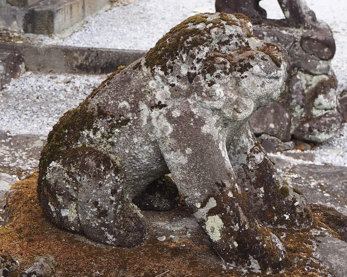 画像75