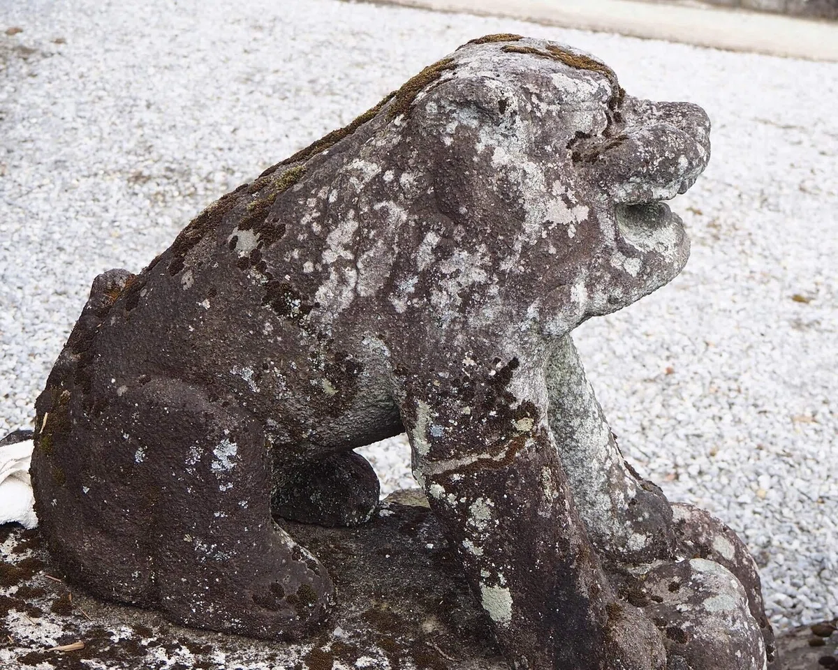 画像77
