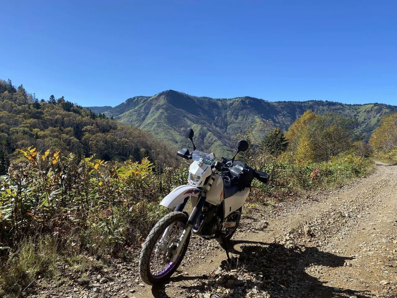 TT250R Raid とNinja250SL の比較｜ninja250sl