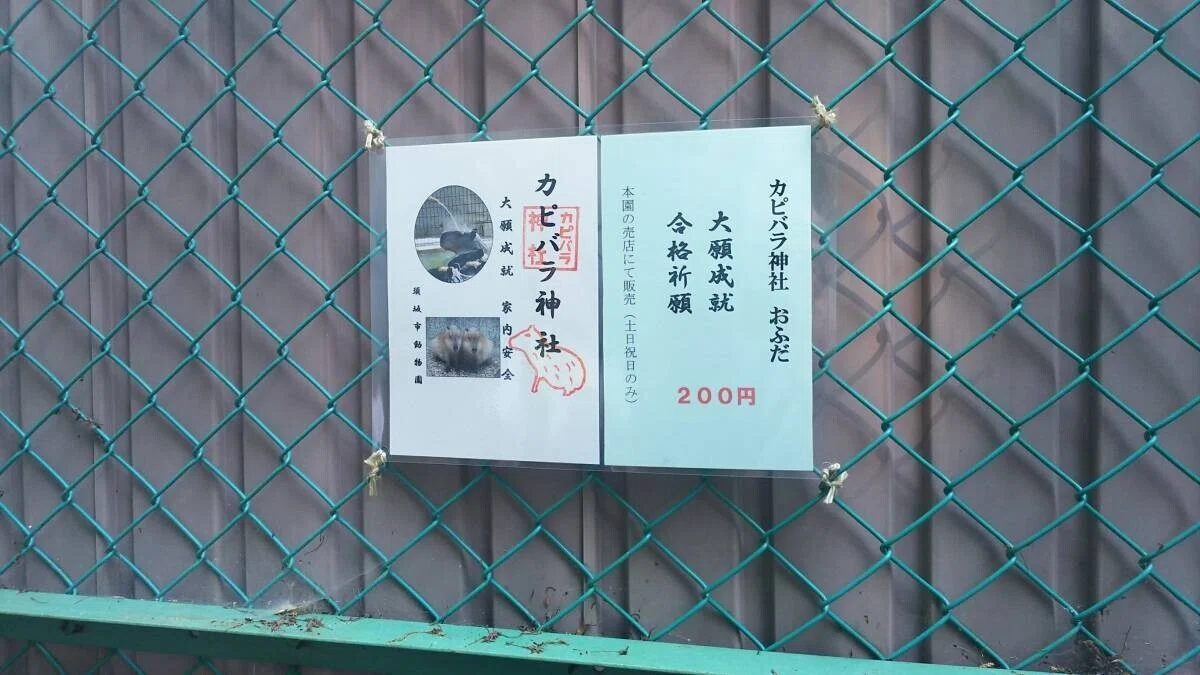 画像10