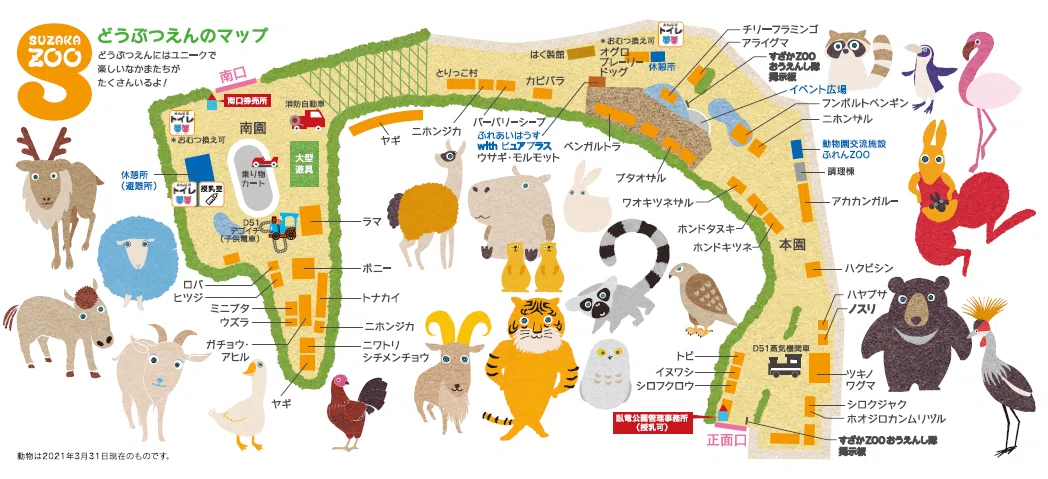 画像11