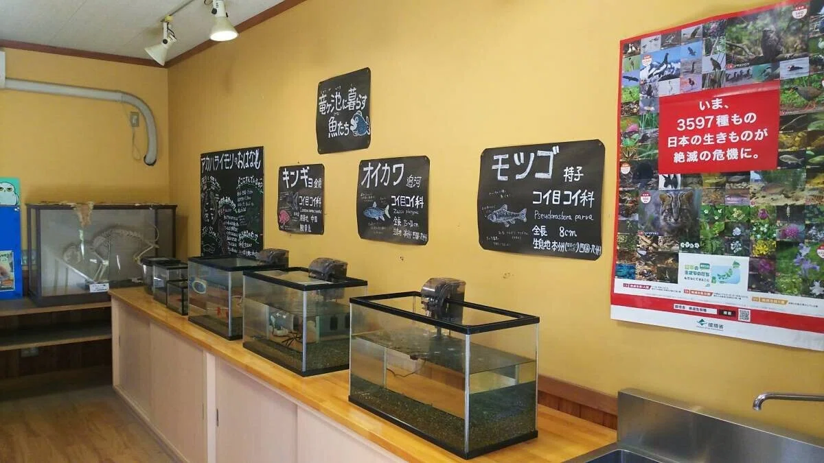 画像16