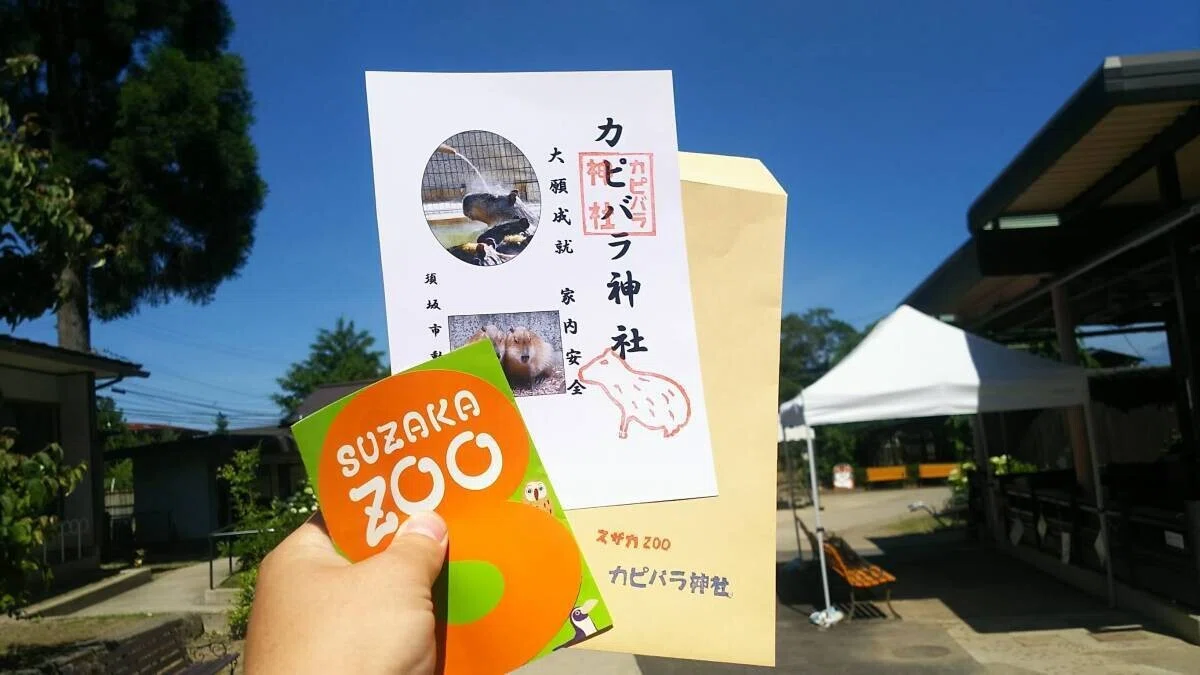画像12