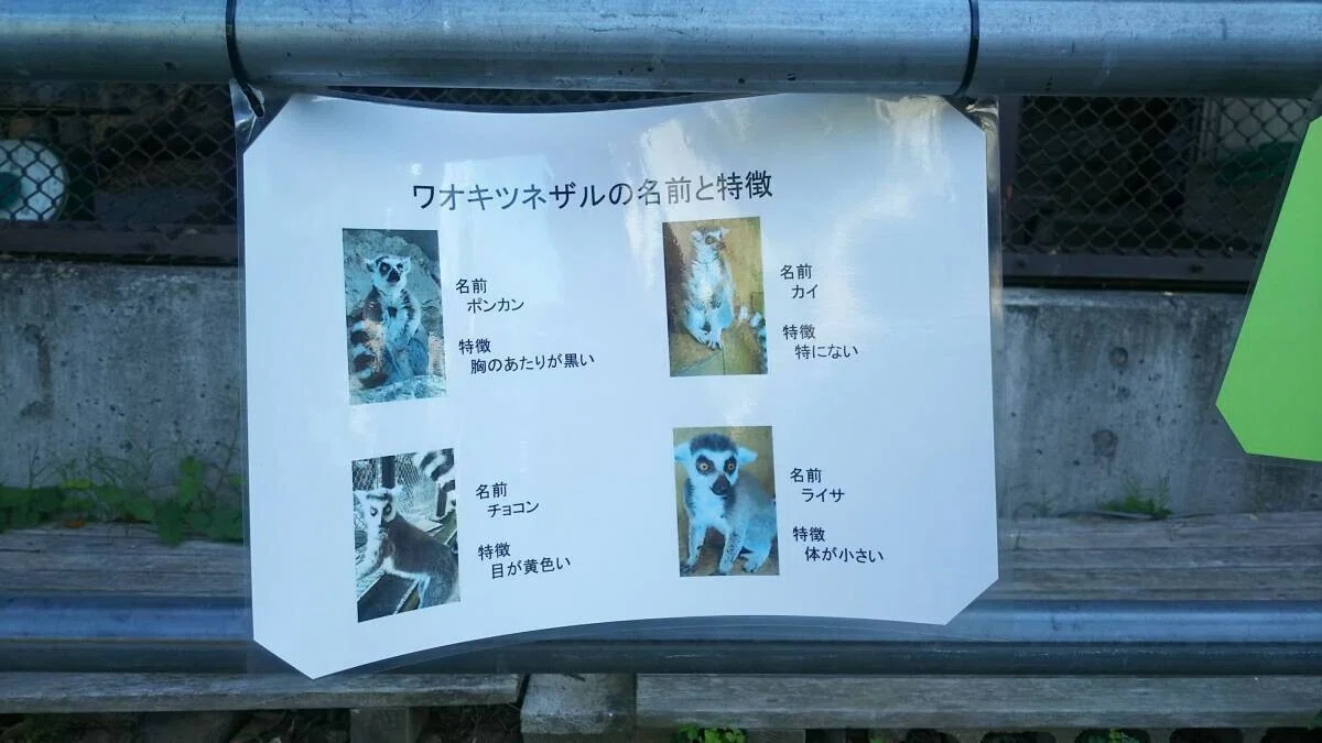 画像23