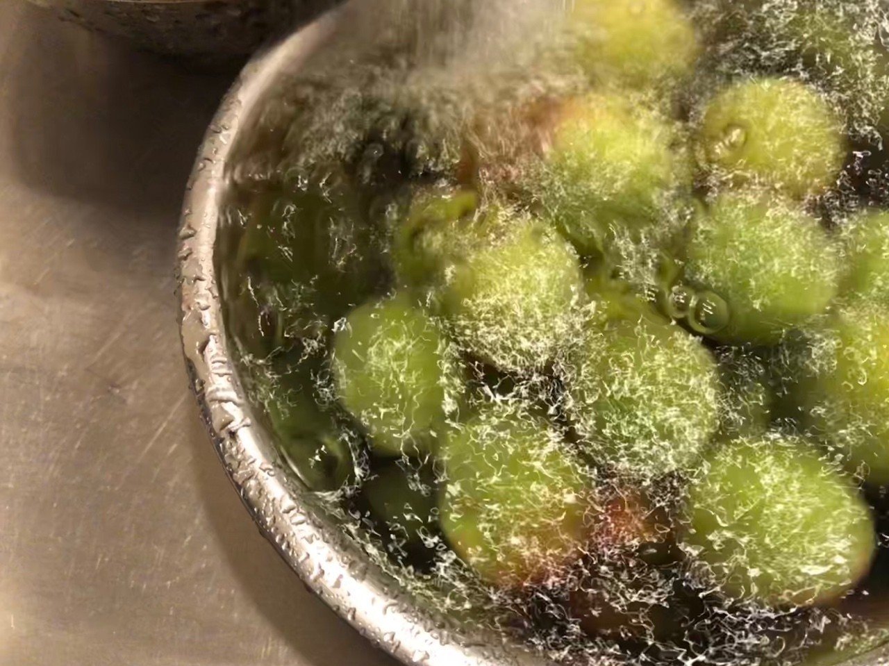 梅仕事18 梅シロップのつくりかた 小俣 緑 Midori Komata Note 梅仕事18 梅シロップのつくりかた 小俣 緑 Midori Komata Note