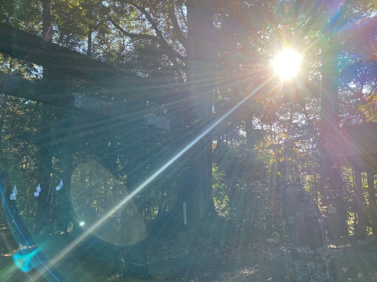 天之日矛の民族 寺本躬久 ジュンク堂書店 天之日矛