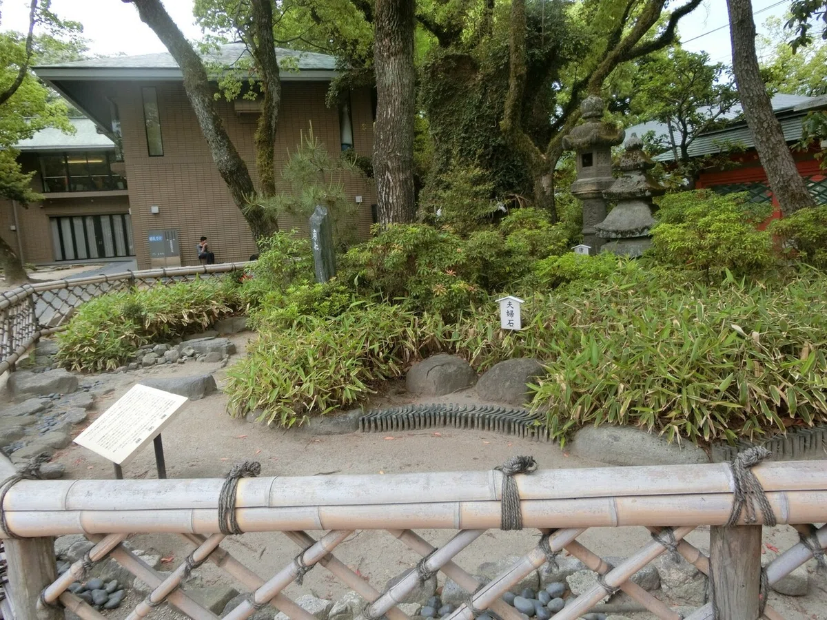 画像7
