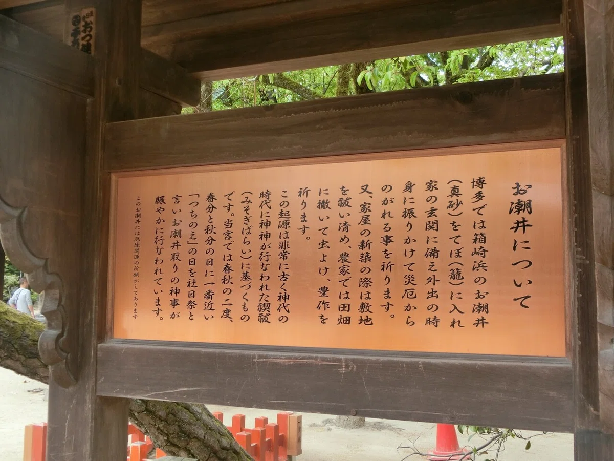 画像10
