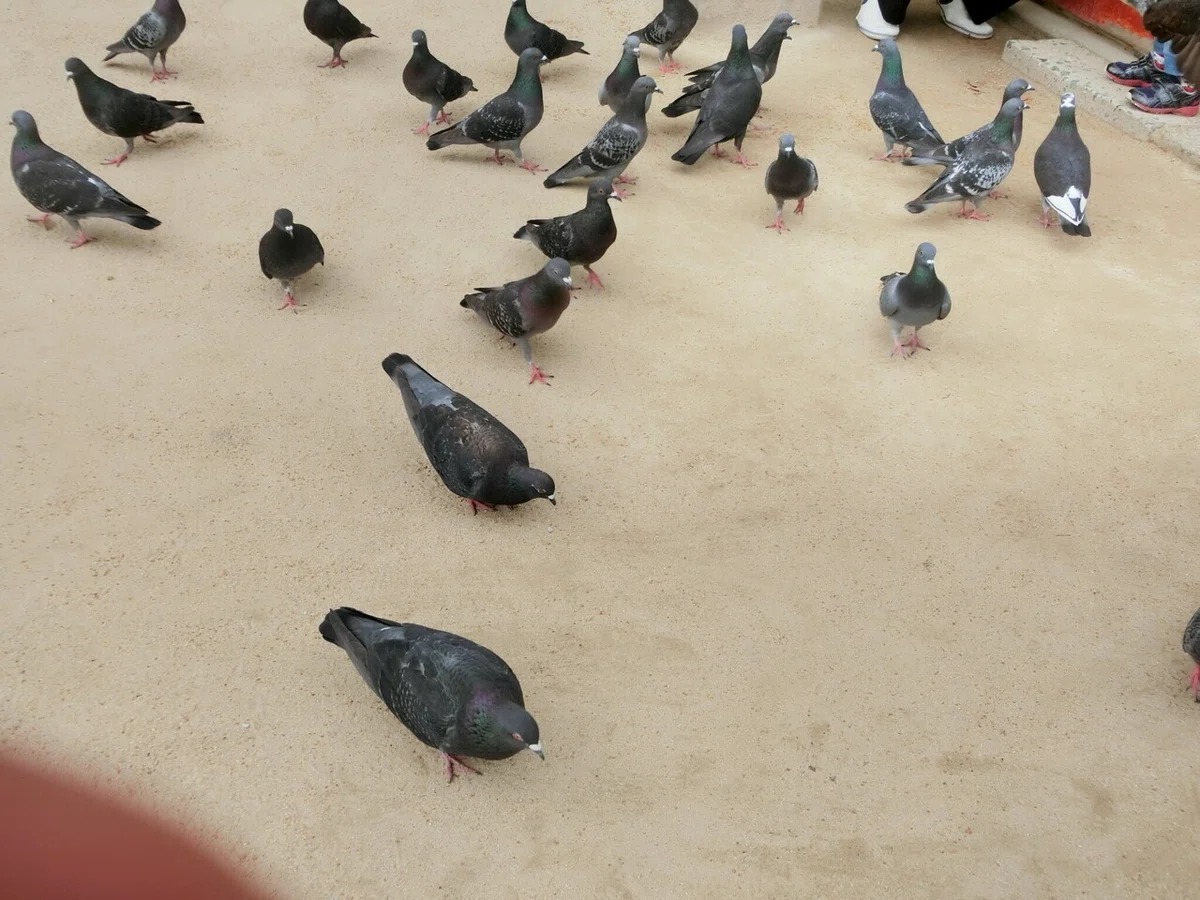 画像11