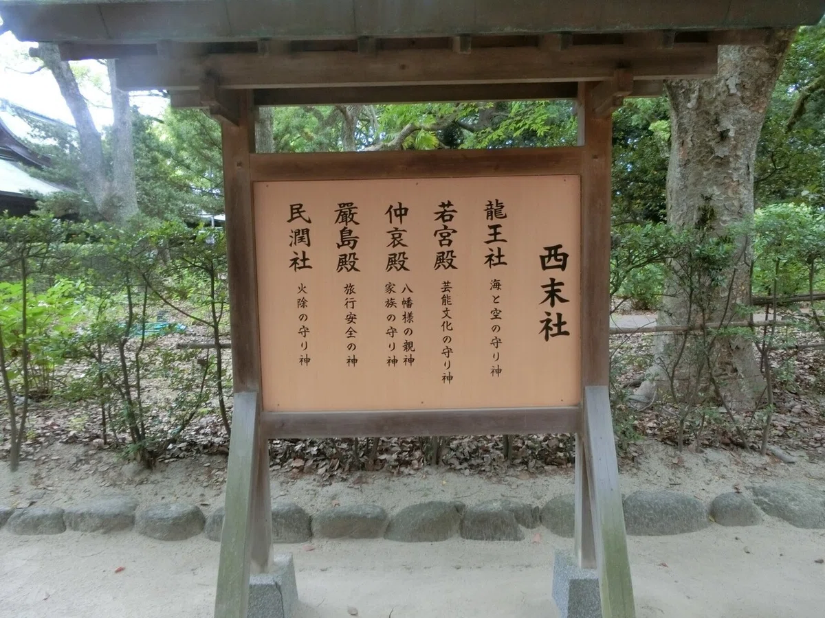 画像14