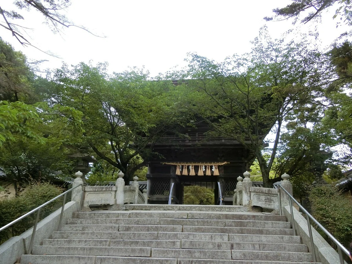 画像4