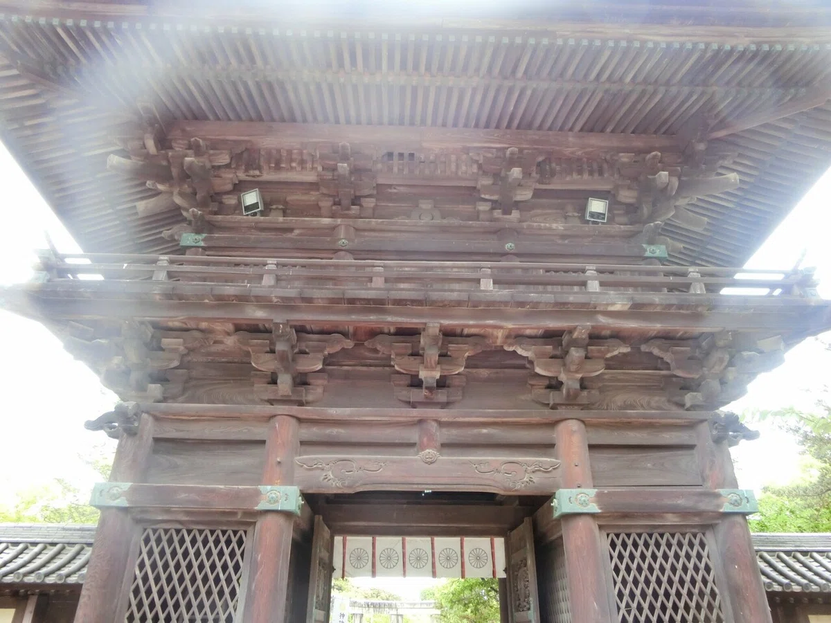 画像5