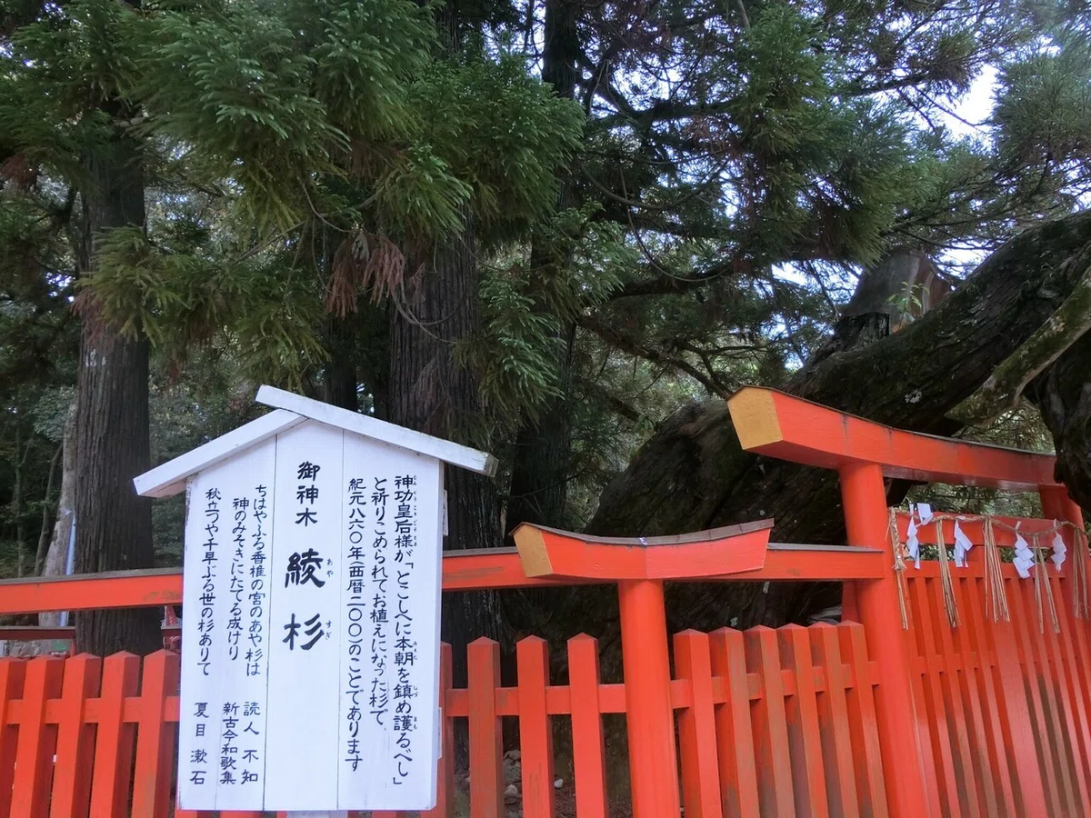 画像9