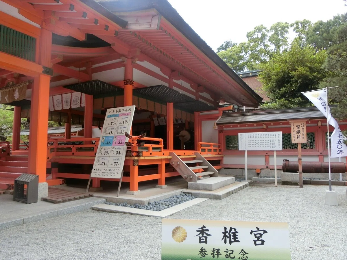 画像12