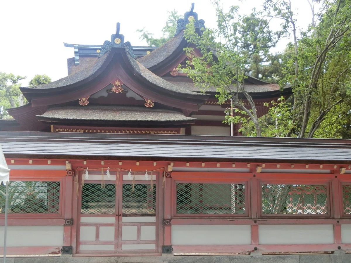 画像15