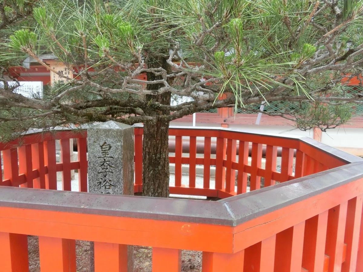画像16
