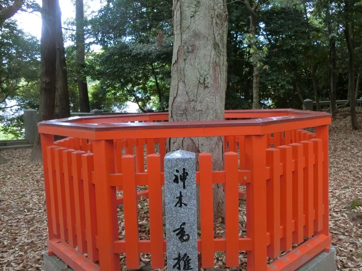 画像19