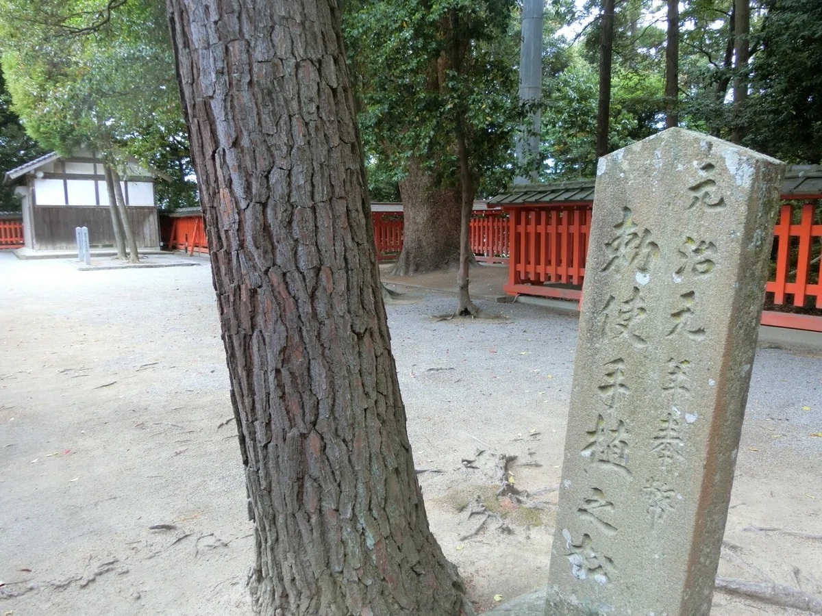 画像29