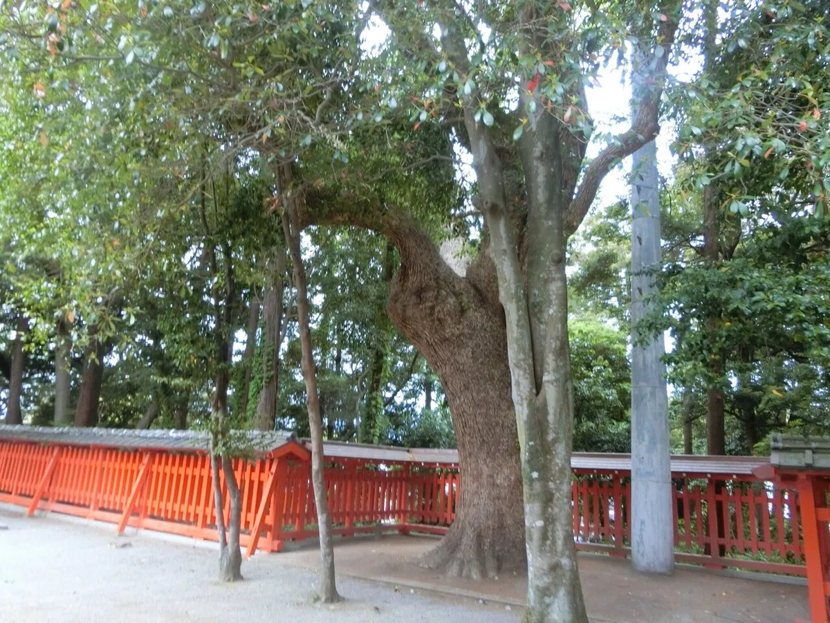 画像30