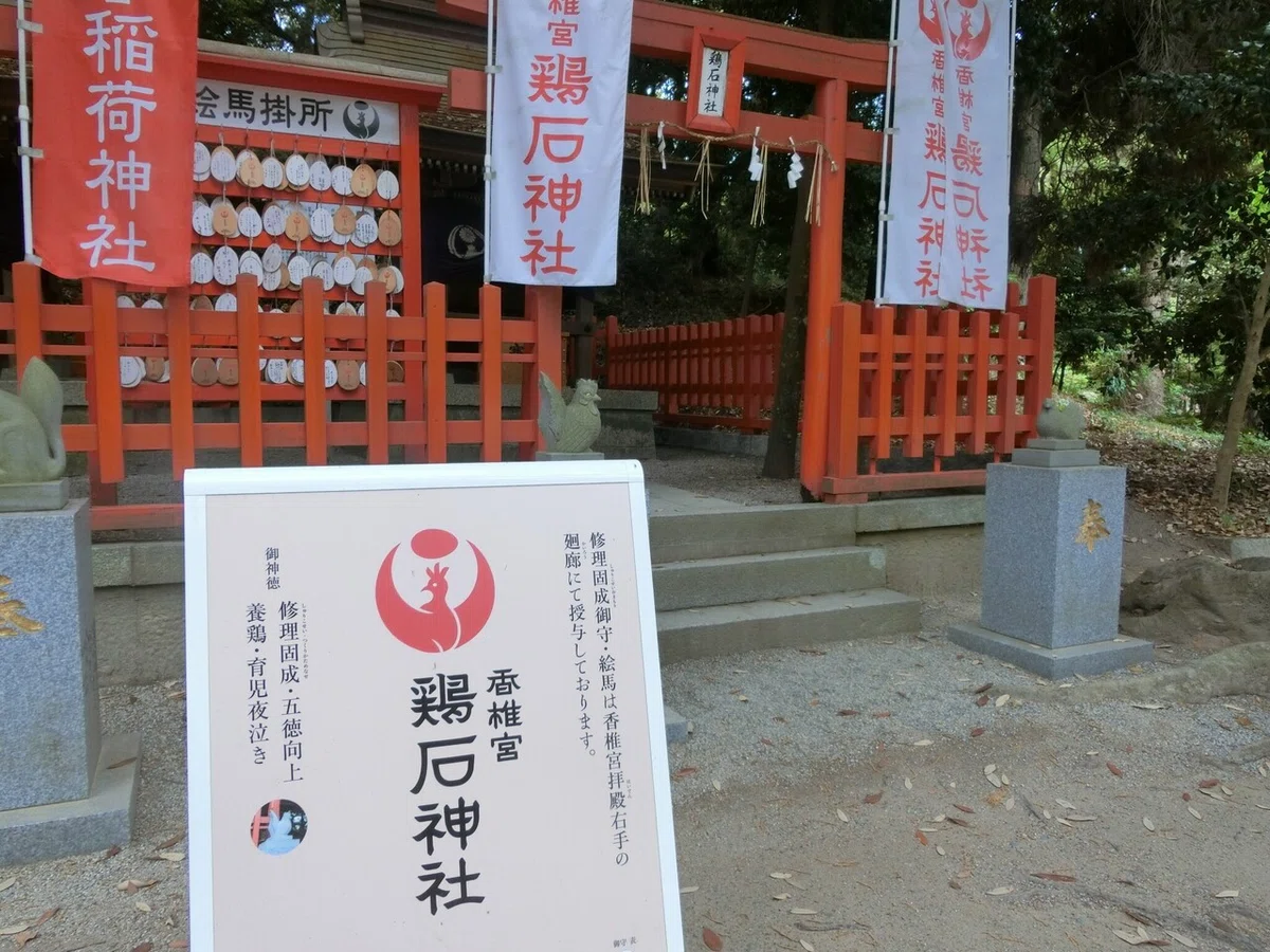 画像36