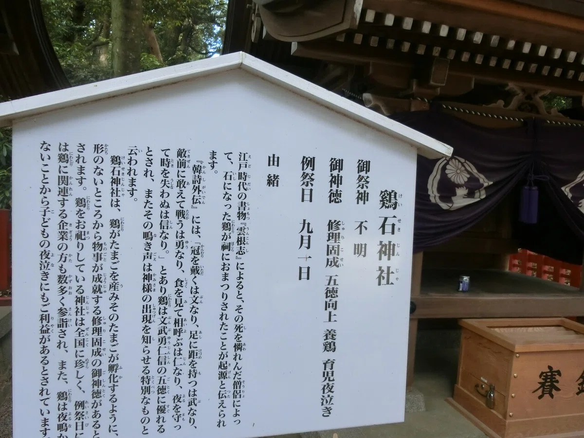 画像37